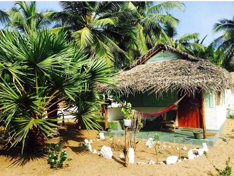 Sun Wind Beach Kalpitiya Kite Resort Exteriör bild