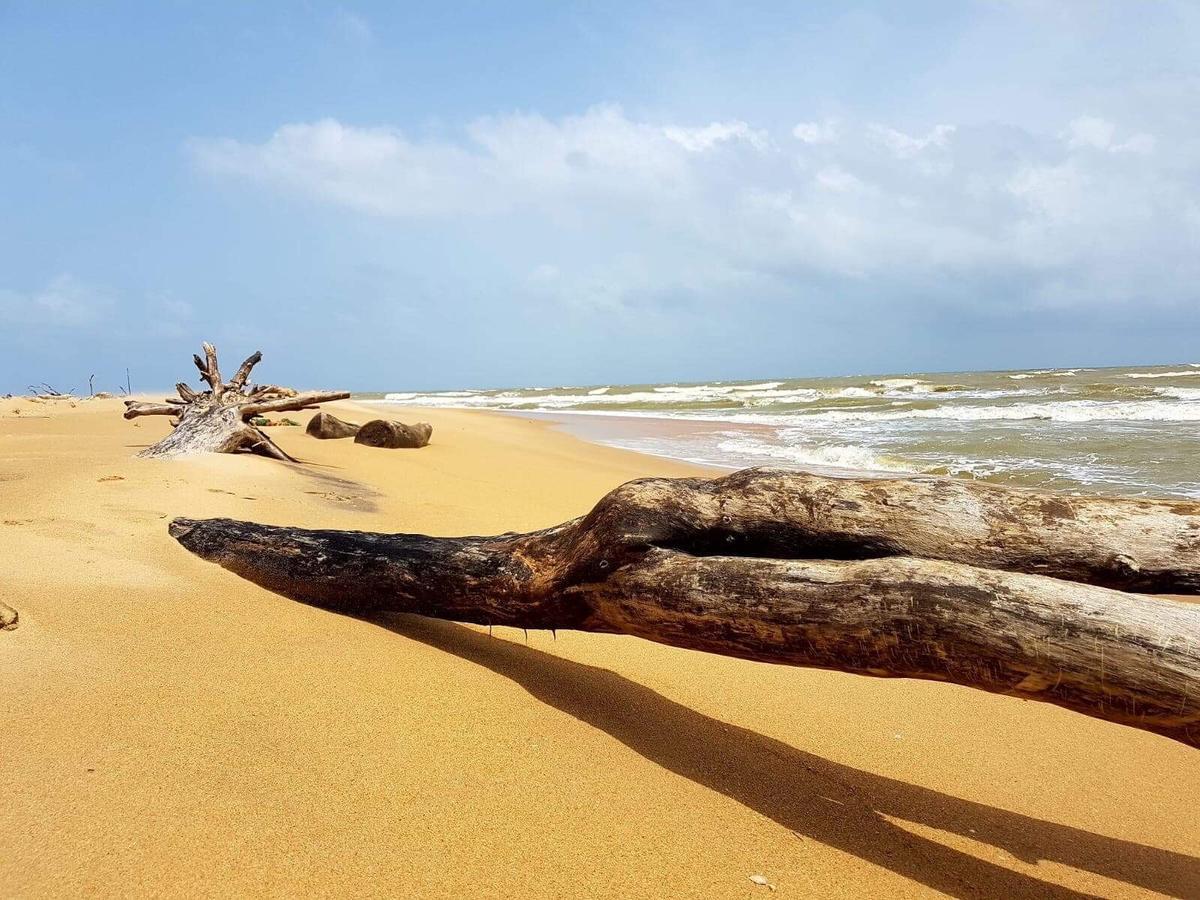 Sun Wind Beach Kalpitiya Kite Resort Exteriör bild
