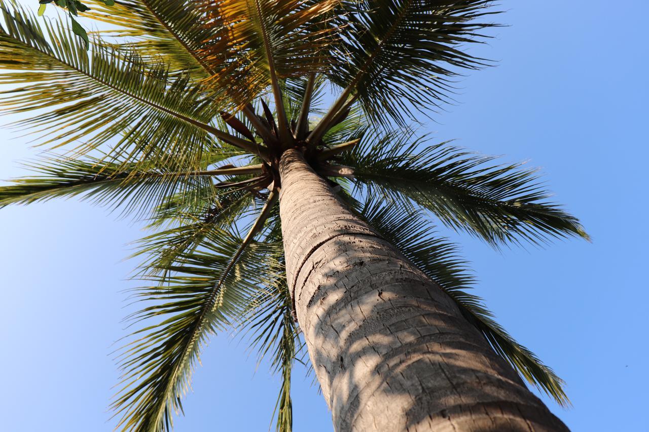 Sun Wind Beach Kalpitiya Kite Resort Exteriör bild